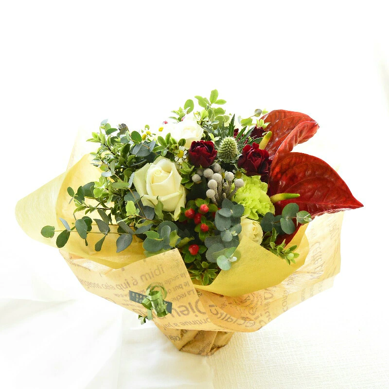 【Natural plus Burgundy 01】