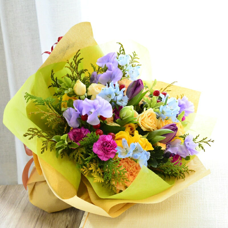 【Rich in colors 01】