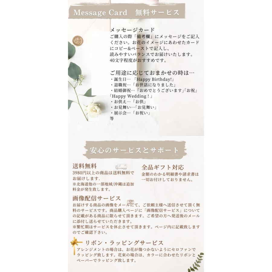 花 花束 ブーケ 切花 生花 誕生日 スタンディングブーケ 切り花 ラッピングのまま飾れる そのまま飾れる フラワーギフト お祝い ギフト お礼 送別 還暦 ウエディング 日頃の感謝 自宅用 プレゼント おしゃれ かわいい アルネの花 b お花