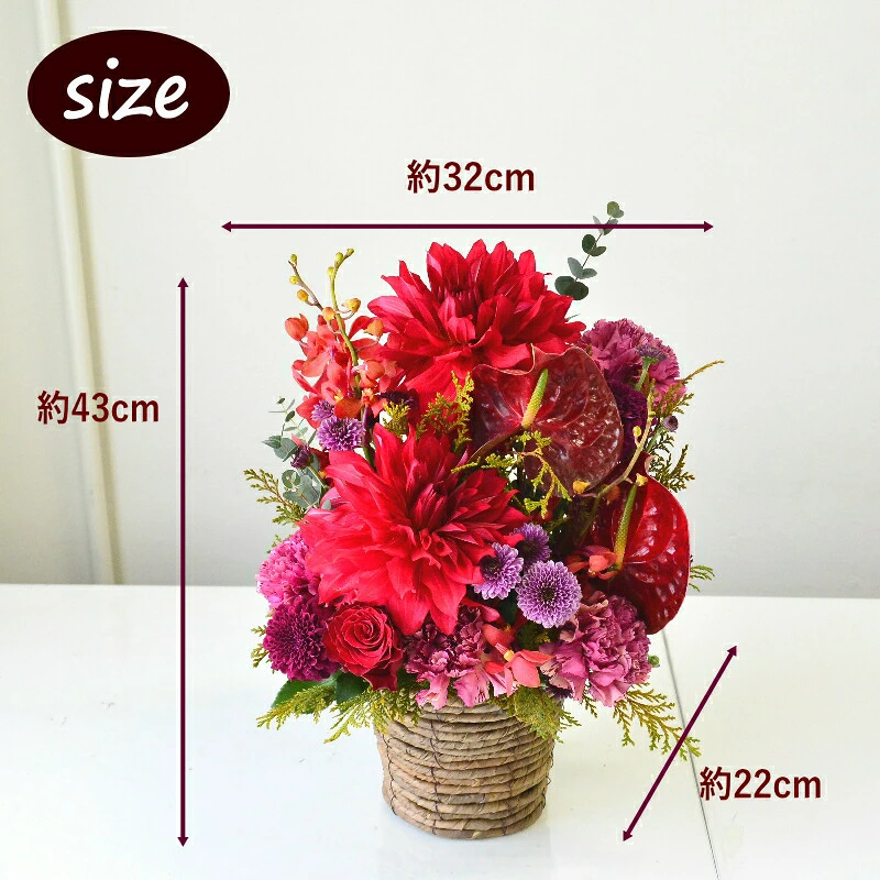 【Omakase_ Dahlia garnet 04】