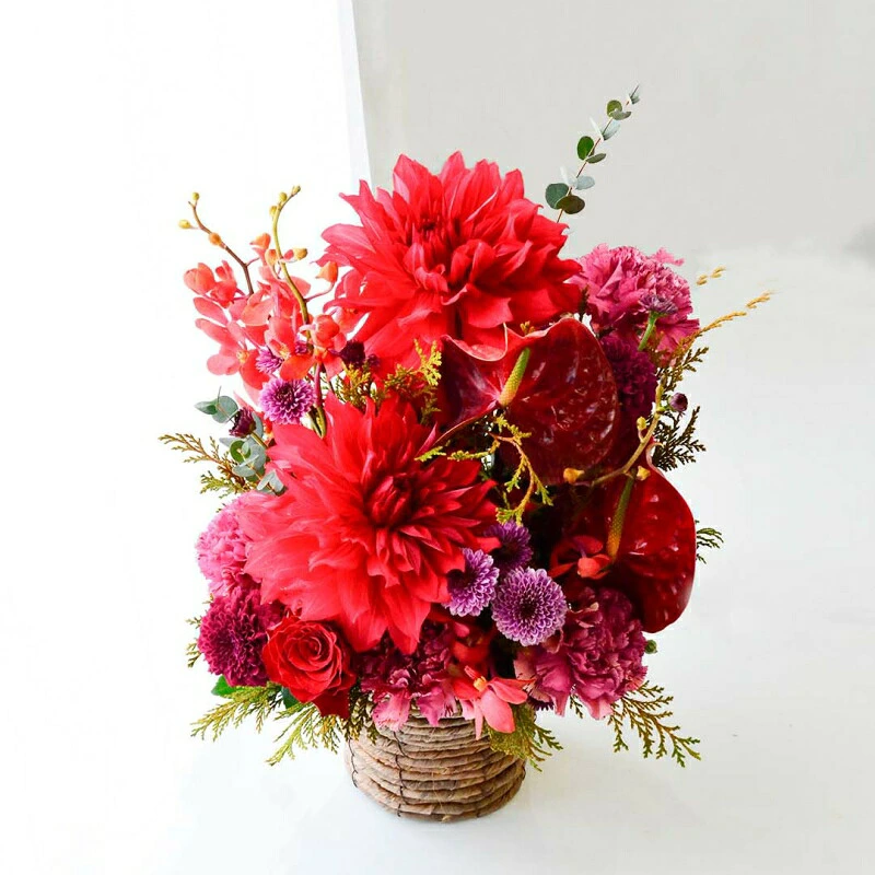 【Omakase_ Dahlia garnet 04】