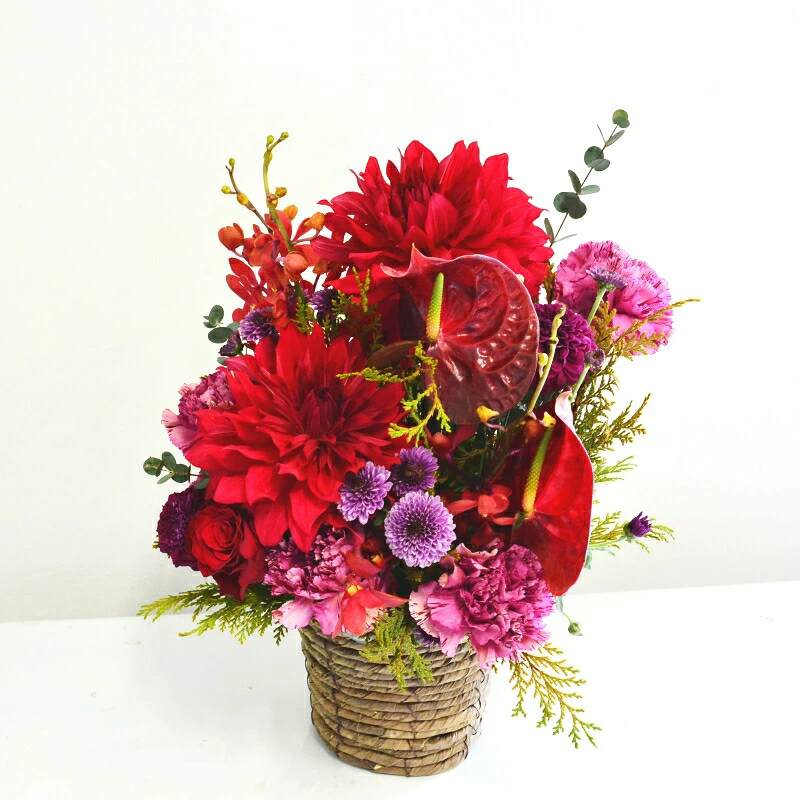 【Omakase_ Dahlia garnet 04】