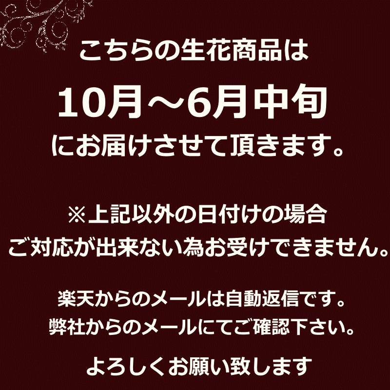 【Omakase_ Dahlia garnet 04】