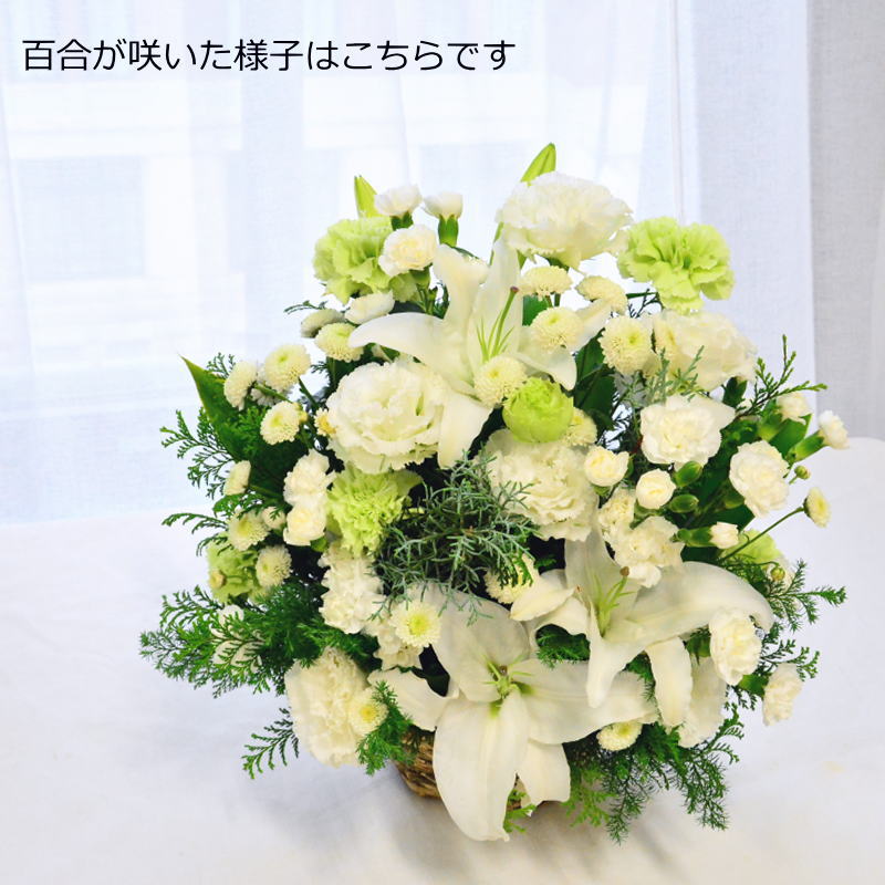 【お供え花　百合の香07】ユリを入れて白とグリーンでお作りしています。自然な感じのお供え花としてボリューム感も意識して送らせていただきます。御供、お悔やみ、法事にも。送料無料。14時までのご注文で翌日お届け（お届け地域につきましてはページ内の地図参照）