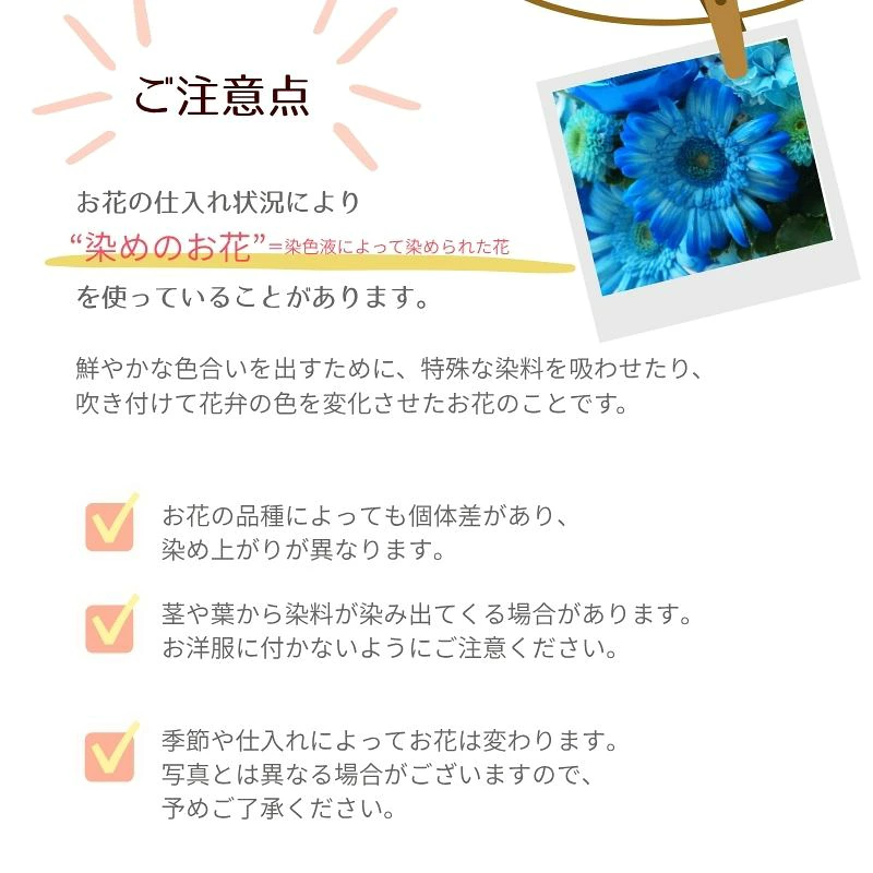【iroiroバルーン009】