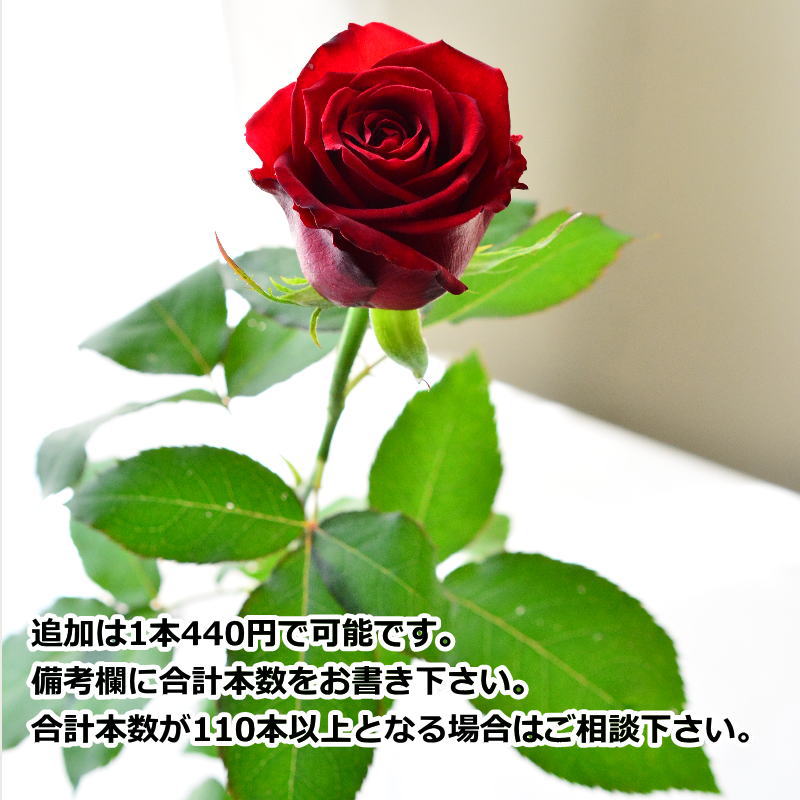 RED ROSE100α ～fresh flower bouquet～