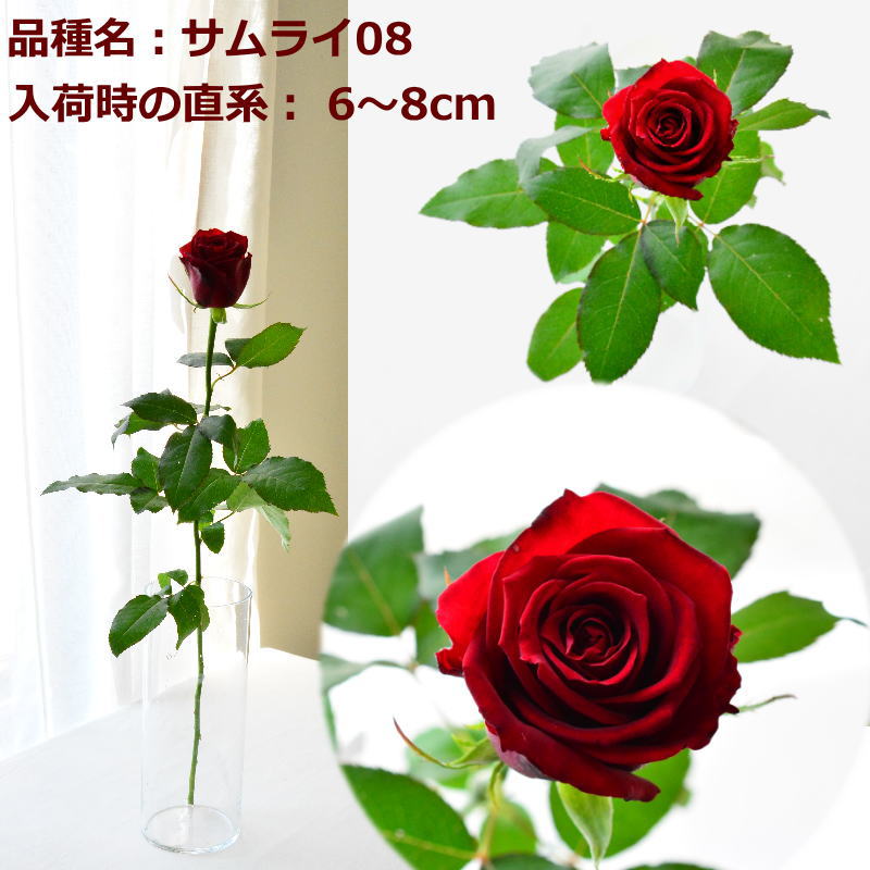 RED ROSE100α ～fresh flower bouquet～