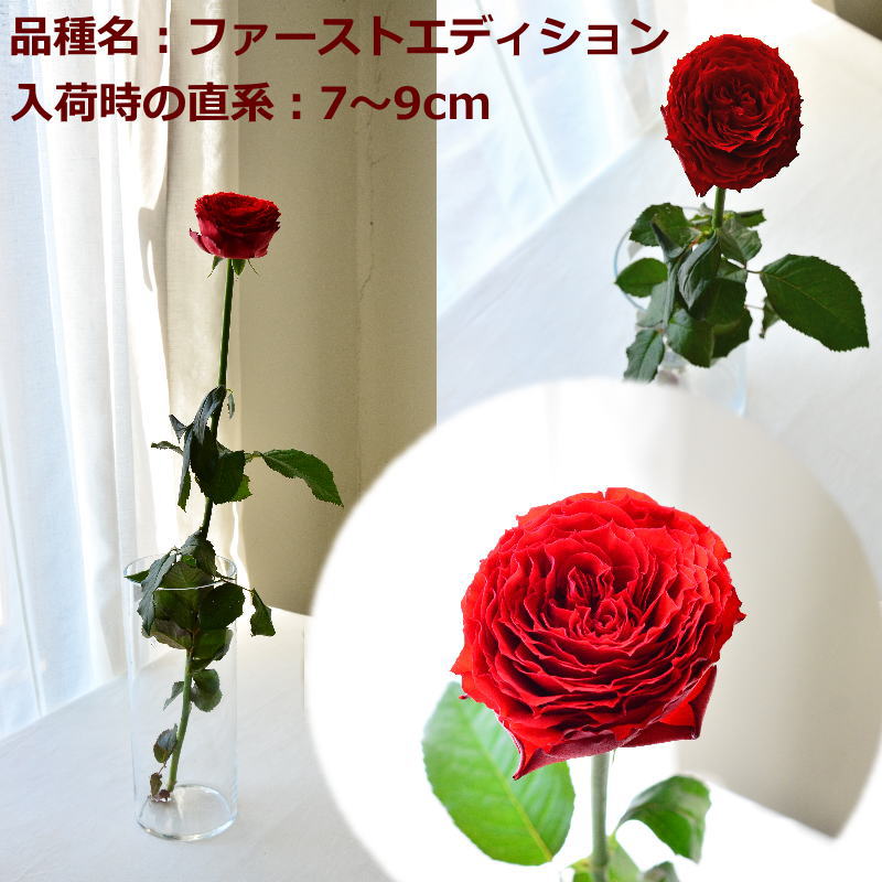 RED ROSE100α ～fresh flower bouquet～
