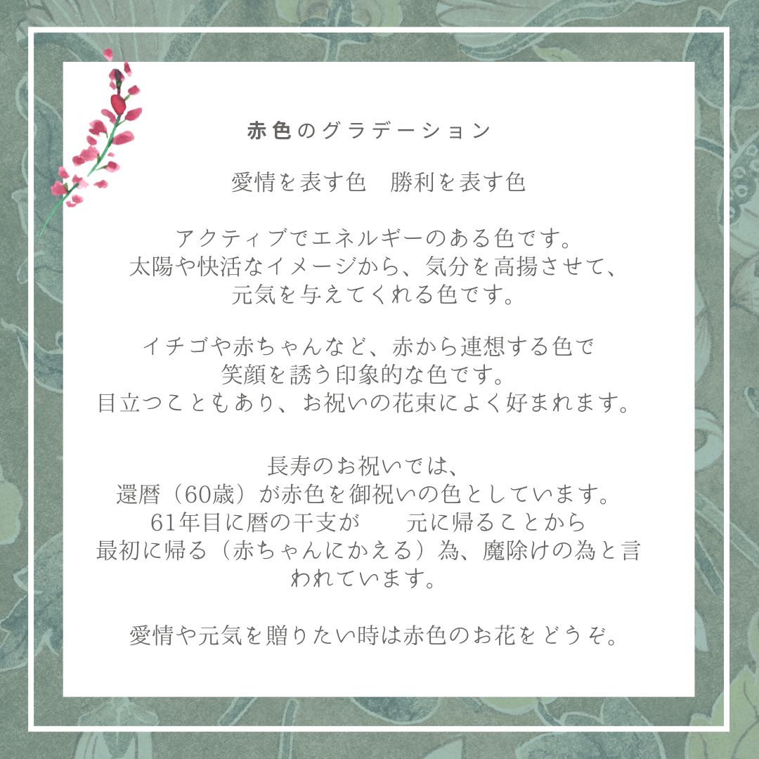 Garnet red 06505 ～ガーネット レッド～