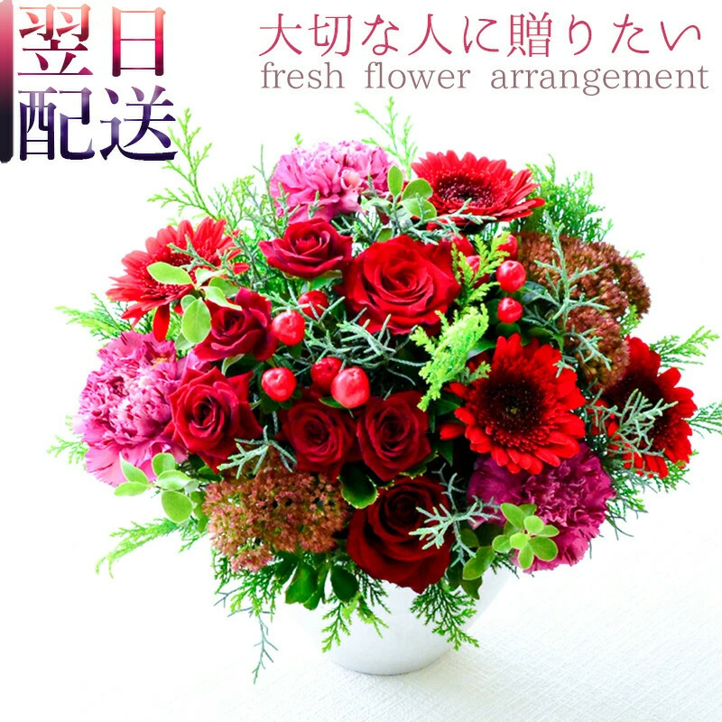 【Garnet red06505】
