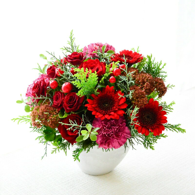 【Garnet red06505】