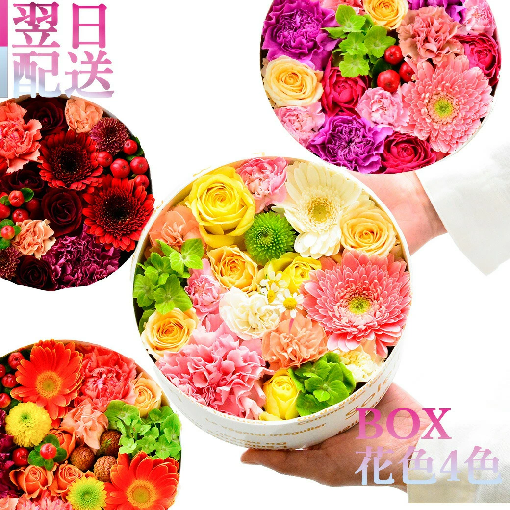【ARNOX ROUND 175】
