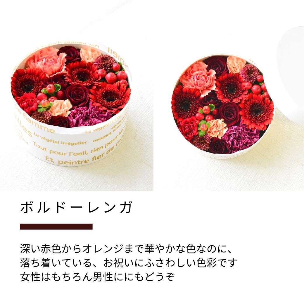 【ARNOX ROUND 175】
