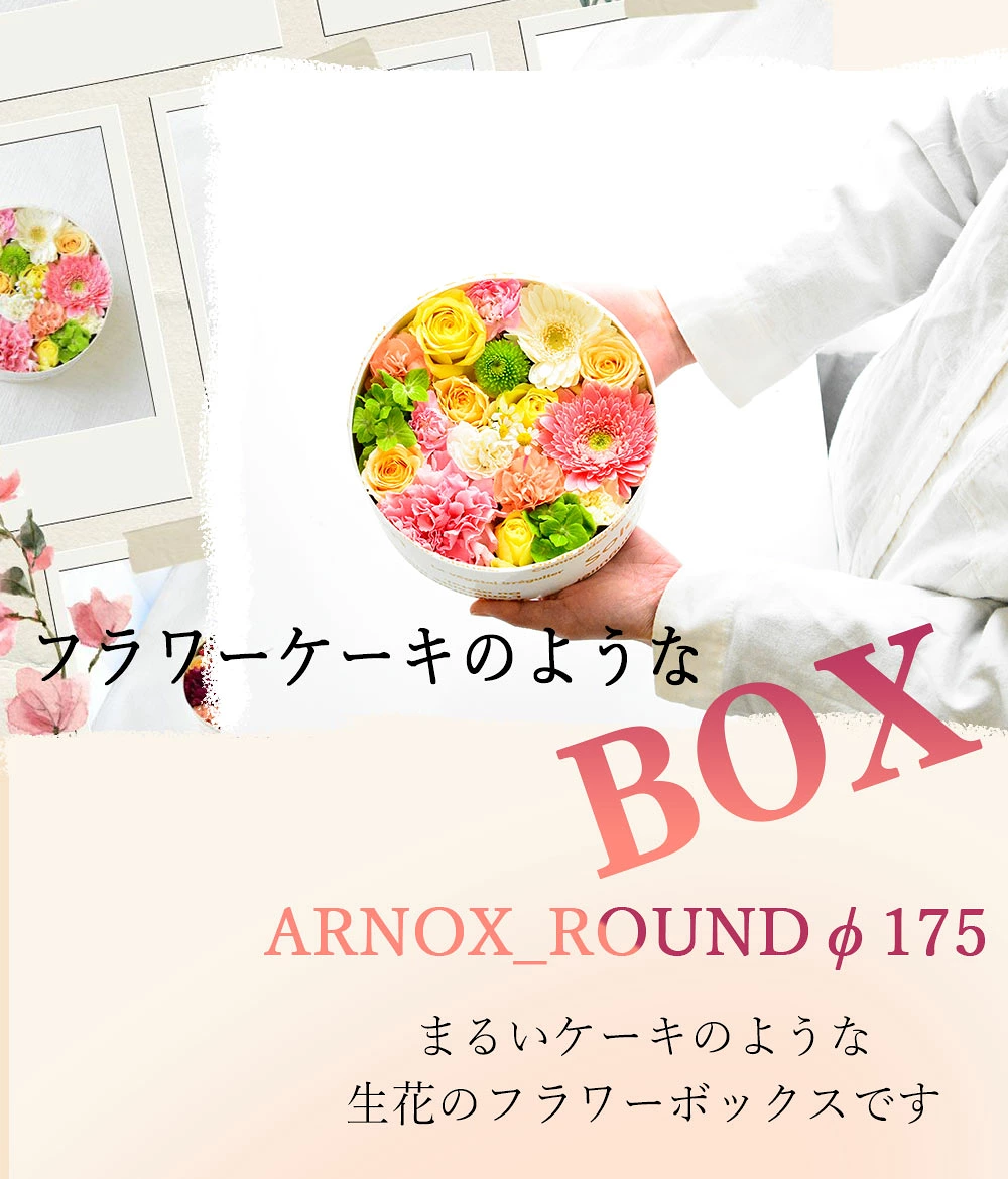 【ARNOX ROUND 175】