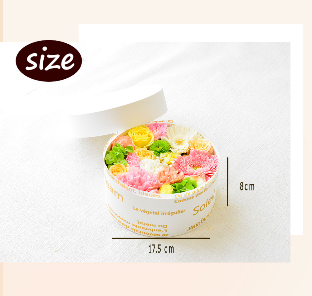 【ARNOX ROUND 175】