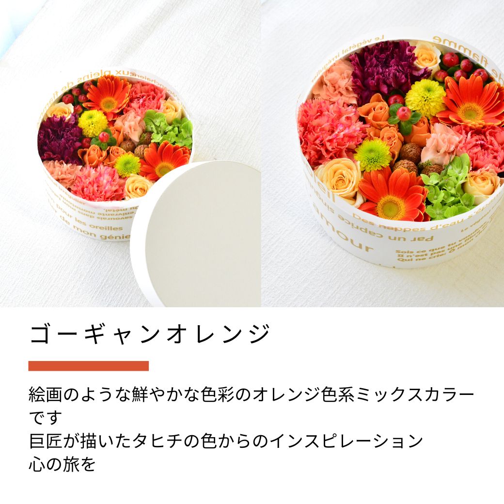 【ARNOX ROUND 175】