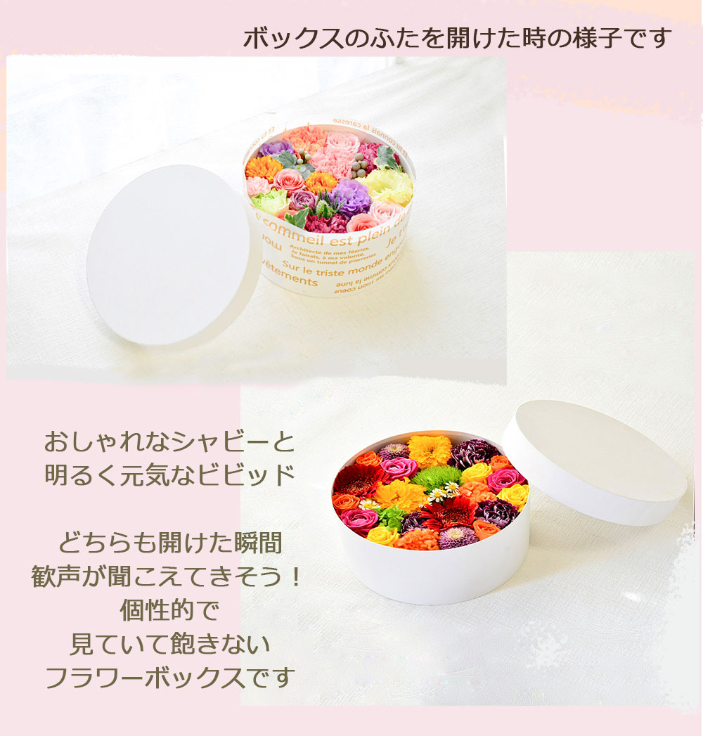 【ＡＲＮＯＸ　ＲＯＵＮＤ　255】