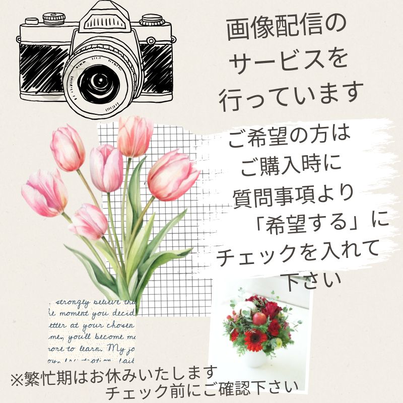 ARNOX_ROUNDΦ225　フラワーケーキのようなBOX
