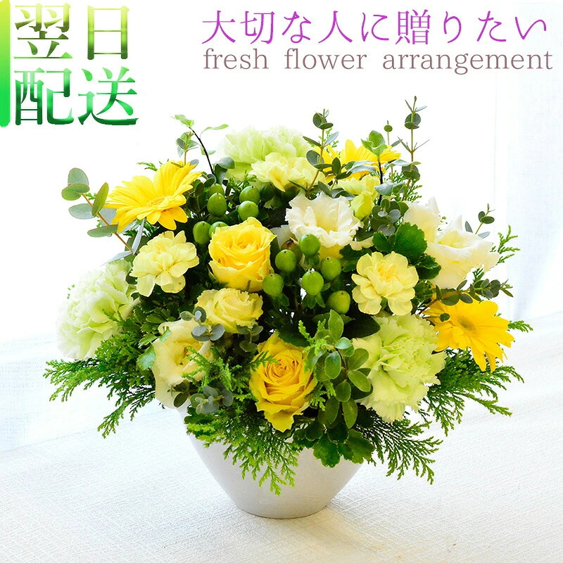 【Lime yellow06504】