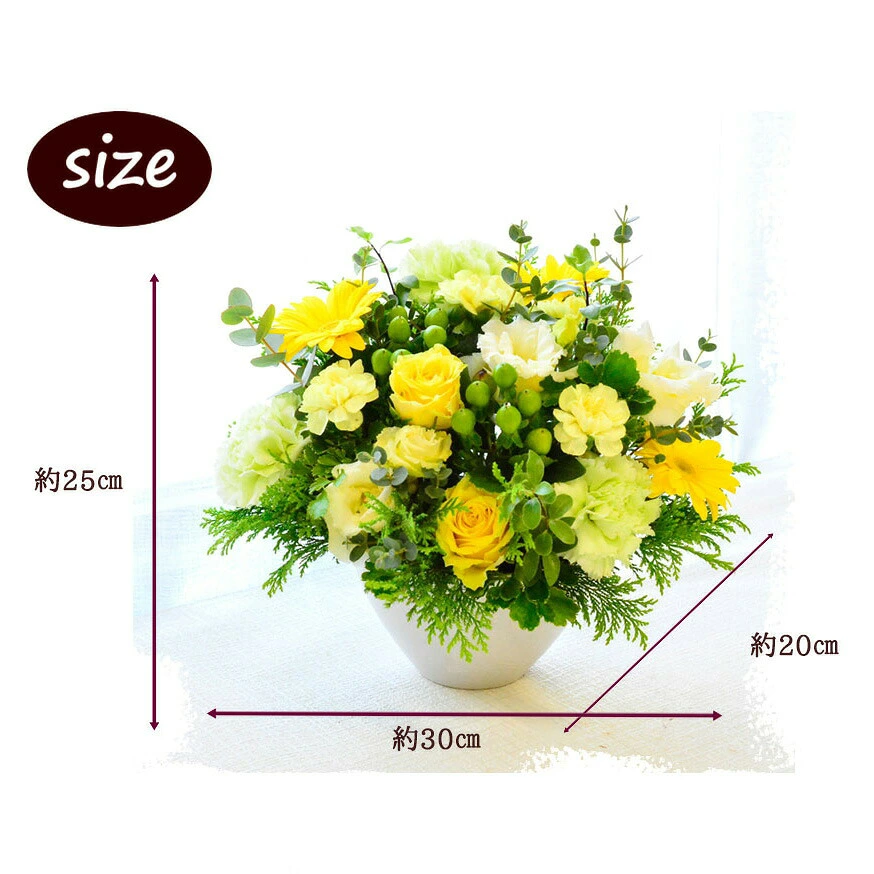 【Lime yellow06504】