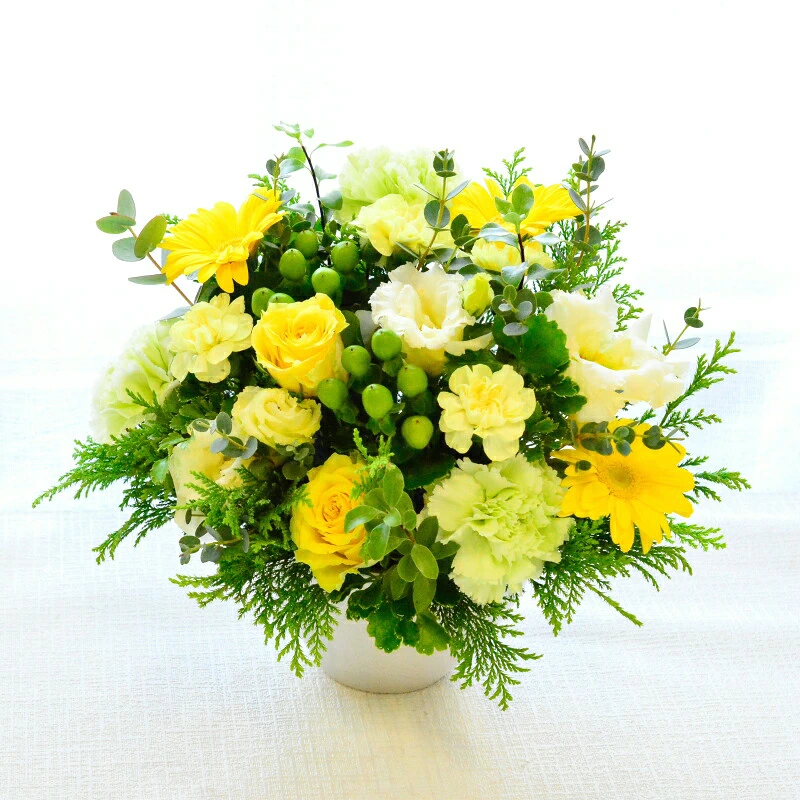 【Lime yellow06504】