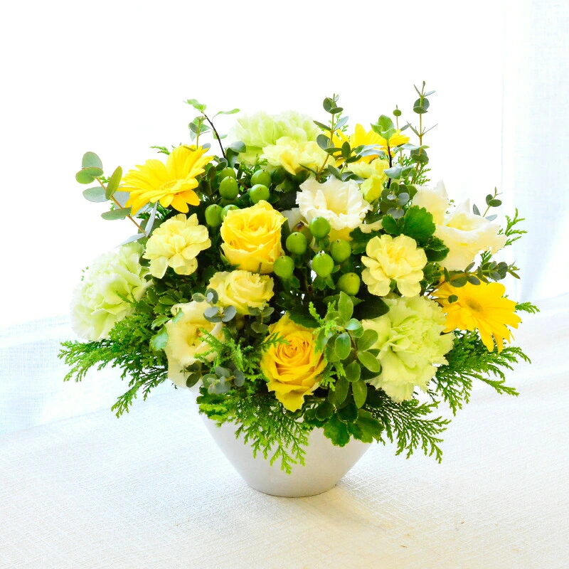 【Lime yellow06504】
