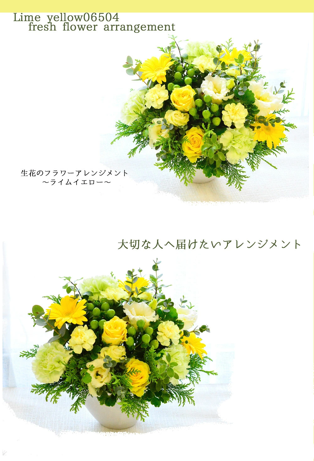 【Lime yellow06504】