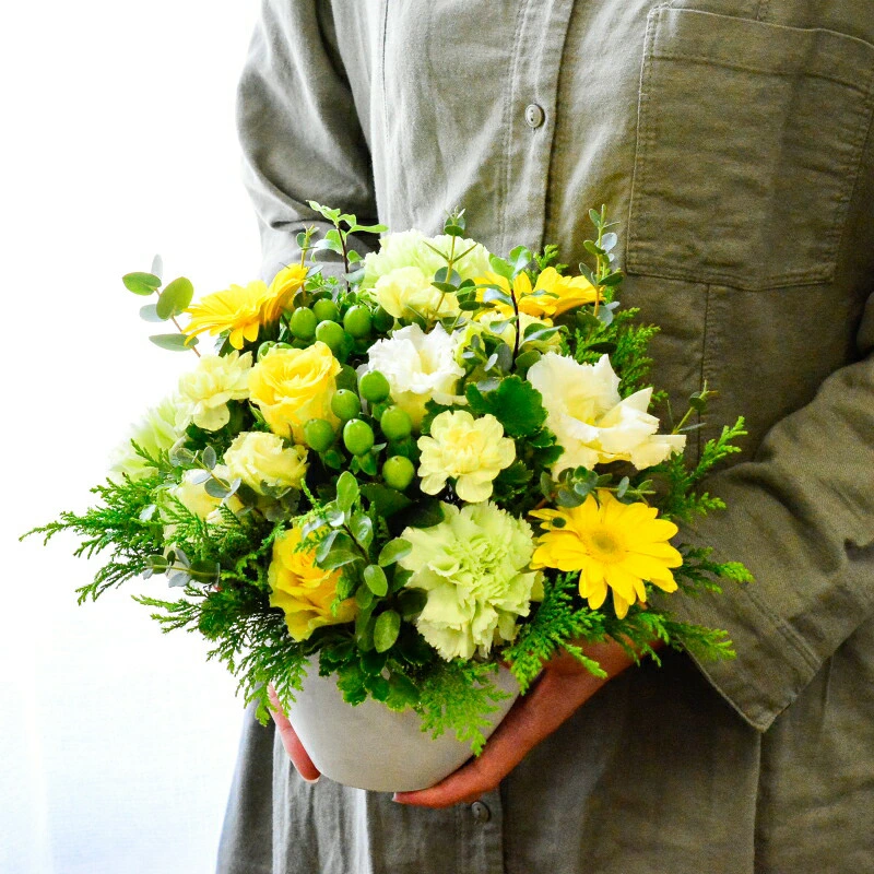 【Lime yellow06504】