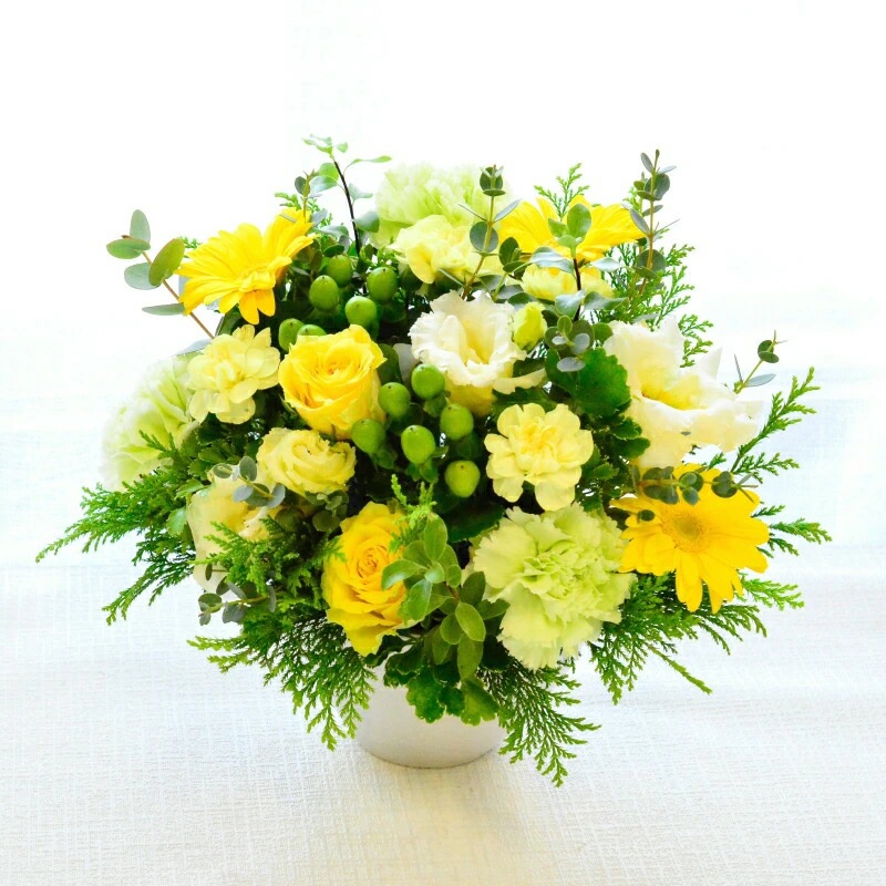 Lime yellow 06504 ～ライムイエロー～