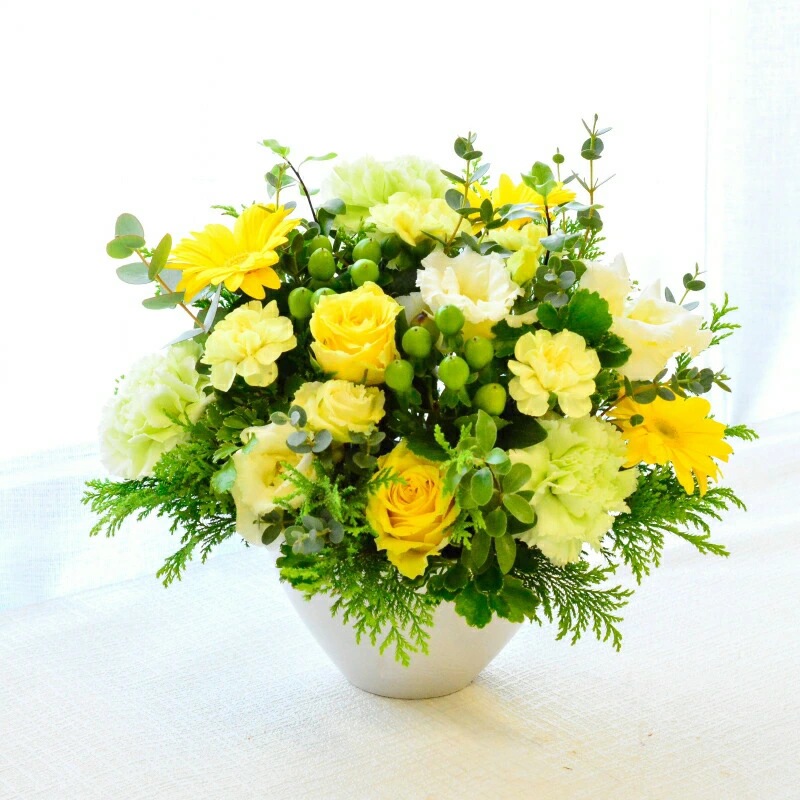 Lime yellow 06504 ～ライムイエロー～