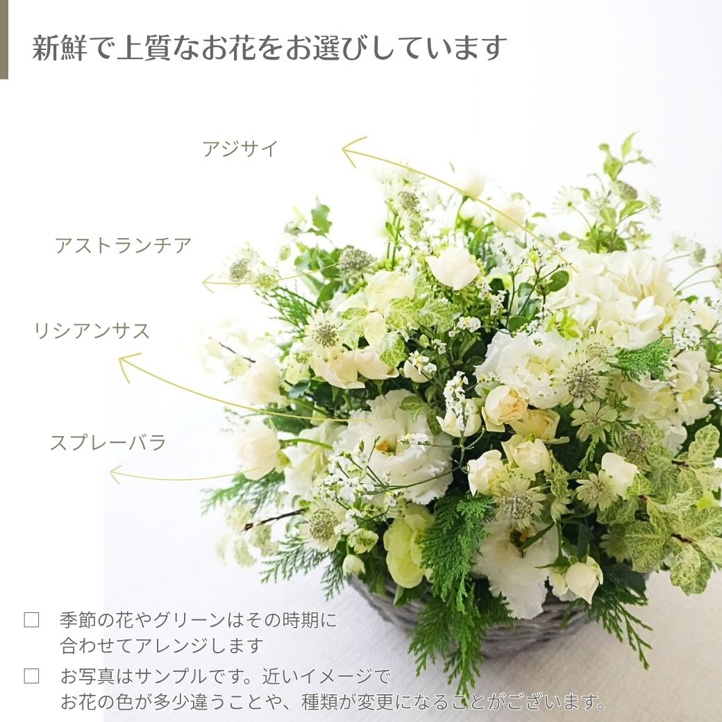 【Lagom Bloom 03】