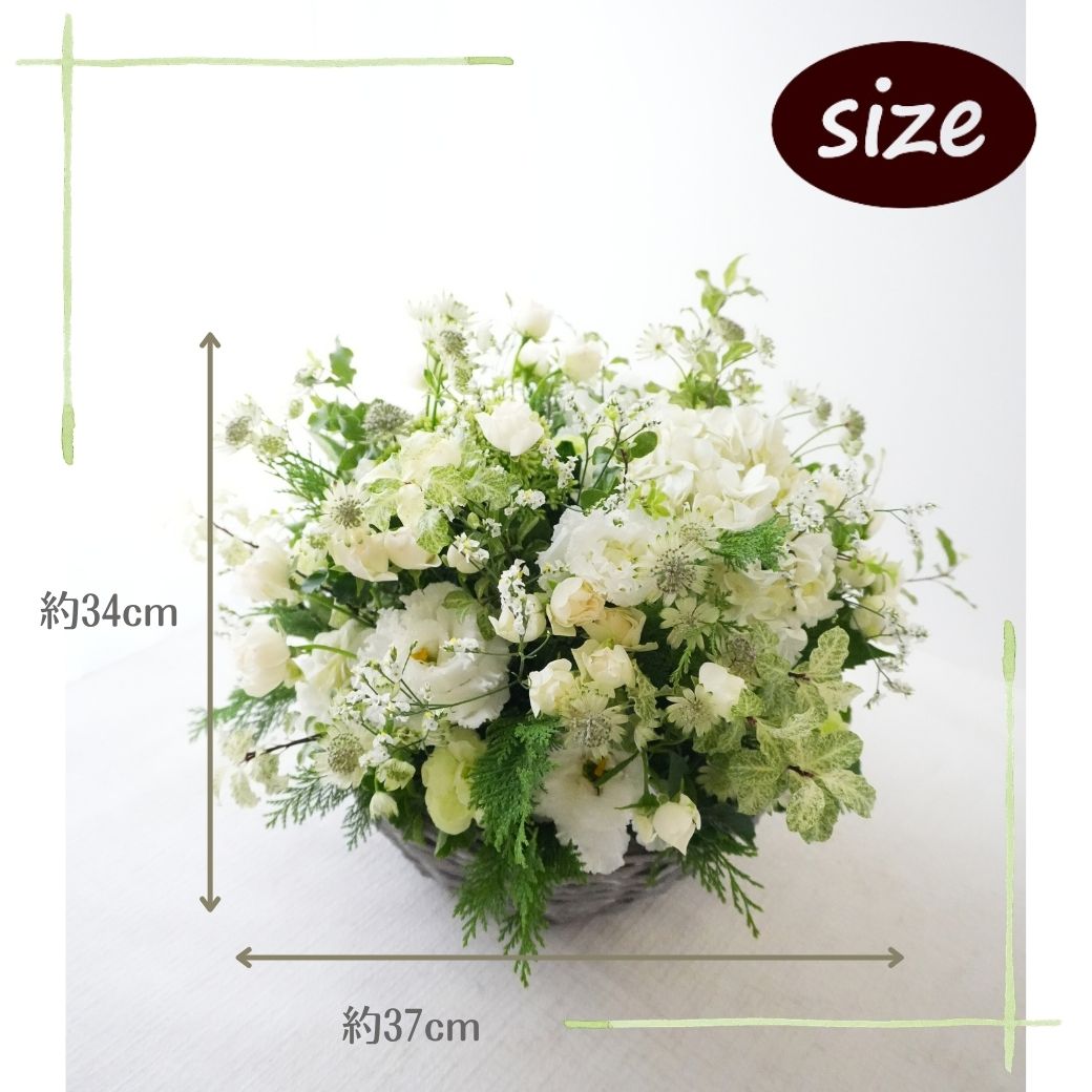 【Lagom Bloom 03】
