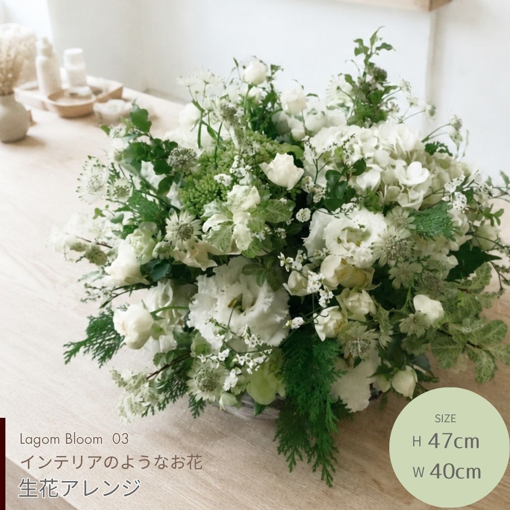【Lagom Bloom 03】