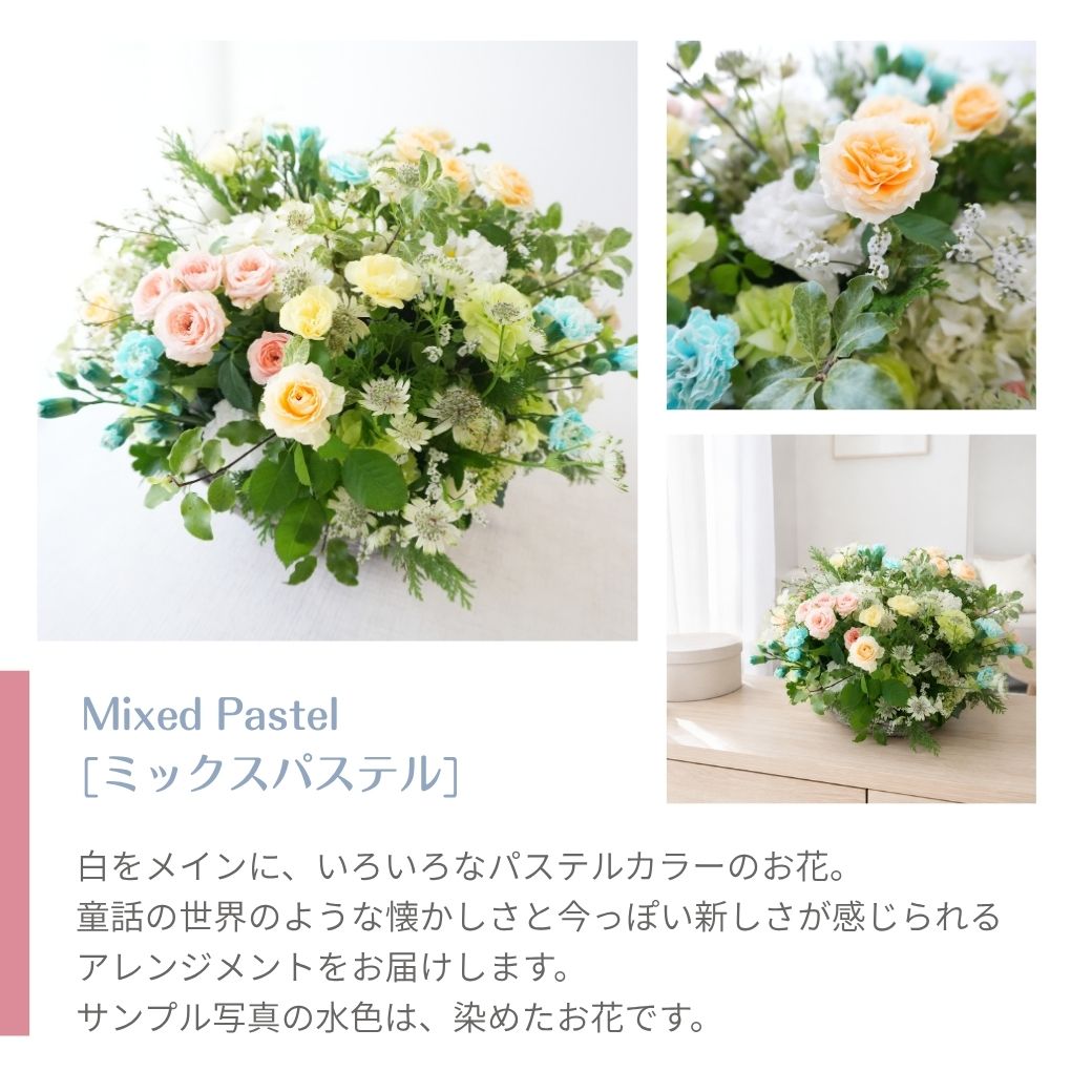 【Lagom Bloom 03】