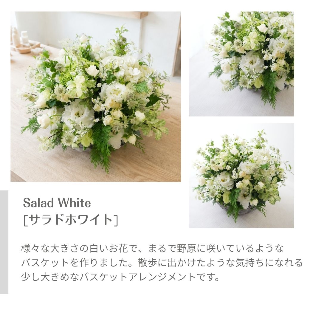 【Lagom Bloom 03】