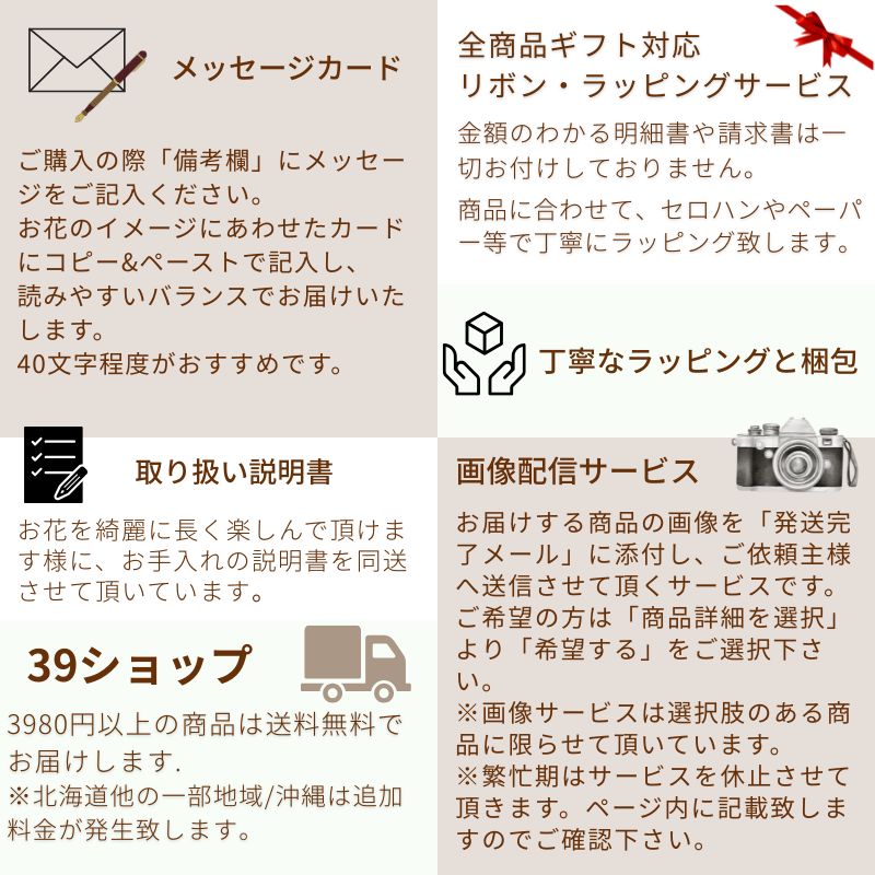 【ラッピングのまま飾れる花束】届いた花束をラッピングしたまま立たせた状態で飾ることの出来る花束です。色のバリエーションは13種類。誕生日や敬老の日、送別にも。生花の花束です。送料無料。14時までのご注文で翌日お届け(お届け可能地域はページ内の地図参照)