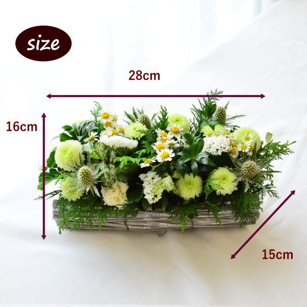 お供え　SeedsGarden03501 ～シーズガーデン03501～