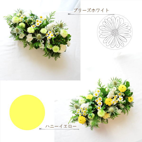 お供え　SeedsGarden03501 ～シーズガーデン03501～