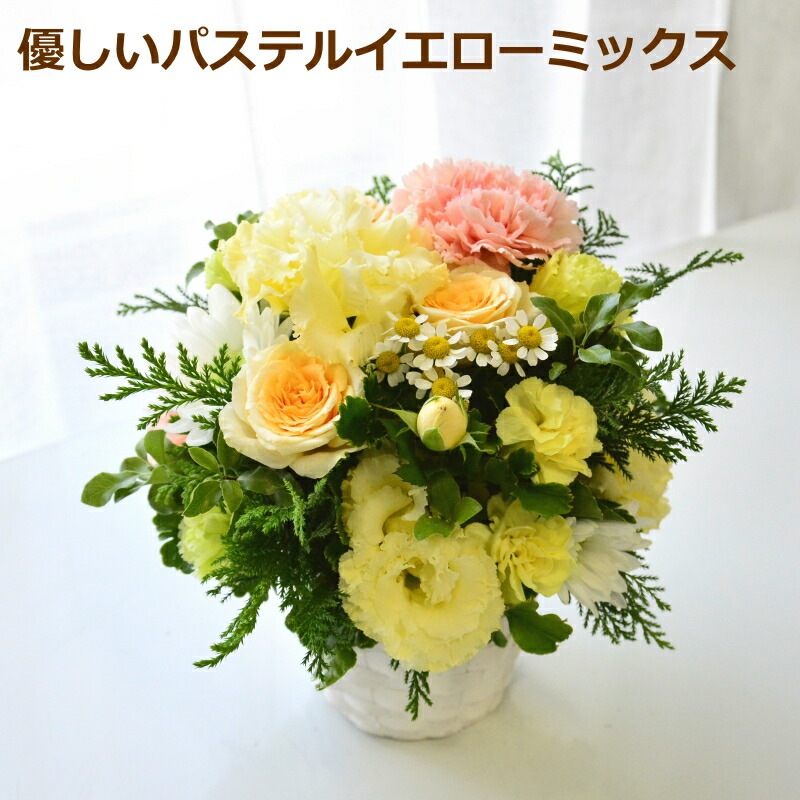 Osonae for Pet family_Arigatou ～ペットのお供花＿ありがとう～