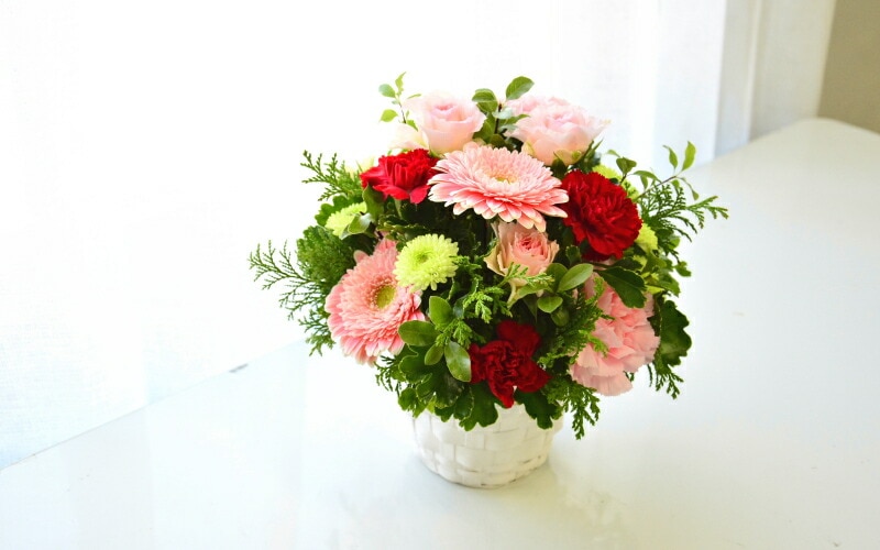 Osonae for Pet family_Arigatou ～ペットのお供花＿ありがとう～