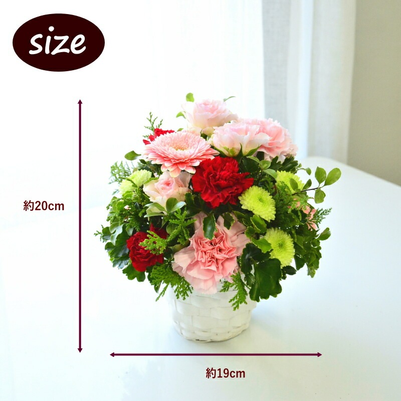 Osonae for Pet family_Arigatou ～ペットのお供花＿ありがとう～