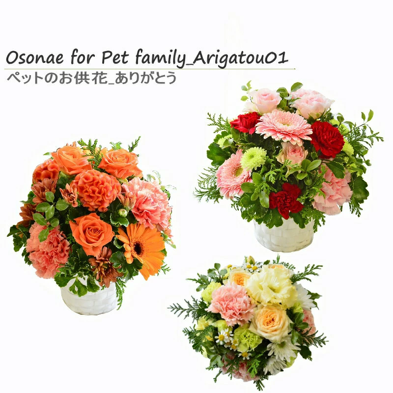 【ペットのお供え花　～ありがとう～】