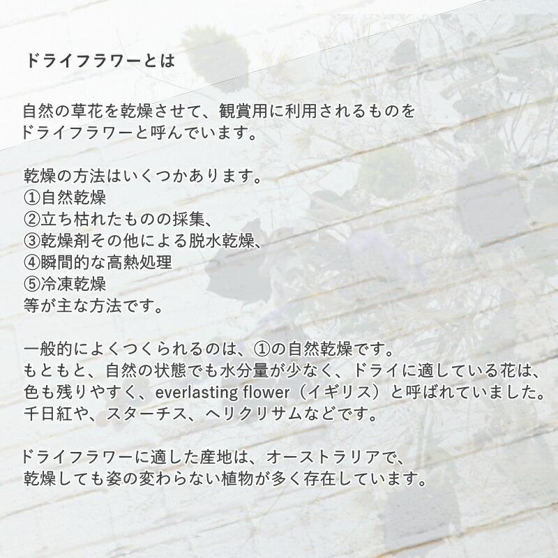 ドライフラワー 花 誕生日 ドライブーケ スワッグ プレゼント 花束 ブーケフラワーアレンジメント ギフト メッセージ お礼 おしゃれ リビング インテリア p お花