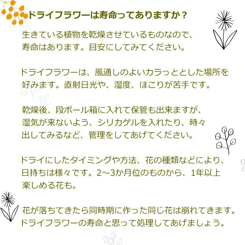ドライフラワー 花 誕生日 ドライブーケ スワッグ プレゼント 花束 ブーケフラワーアレンジメント ギフト メッセージ お礼 おしゃれ リビング インテリア p お花