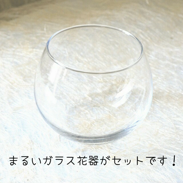 【+(Plus) Vase01】