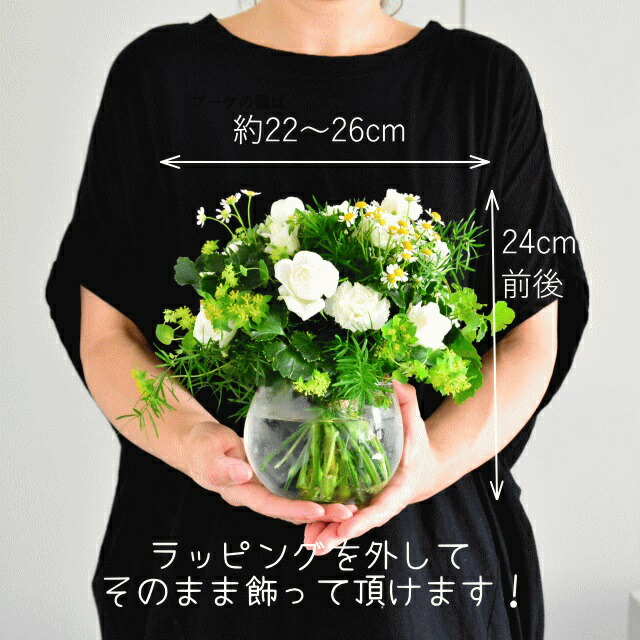 +Plas Vase01 ~プラスベース01~