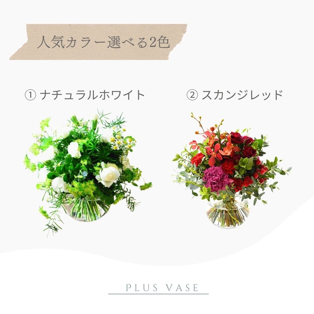 【+(Plus) Vase01】