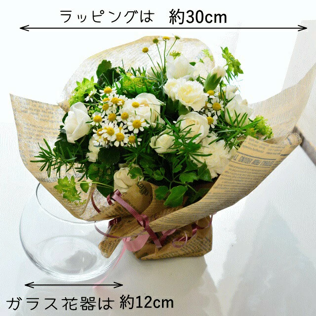 【+(Plus) Vase01】