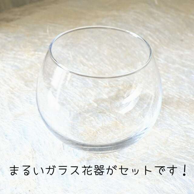 +Plas Vase02 ～プラスベース02～