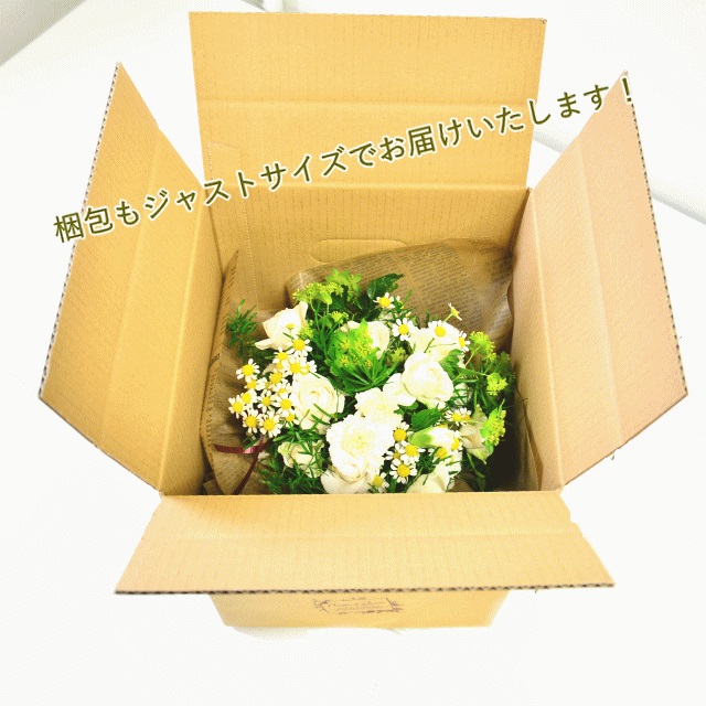 +Plas Vase02 ～プラスベース02～